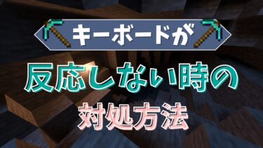 【マイクラ】キーボードが反応しない時の対処方法！実は超簡単に治ります！